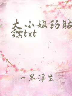 大小姐的贴身保镖txt