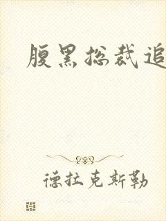 腹黑总裁追娇妻