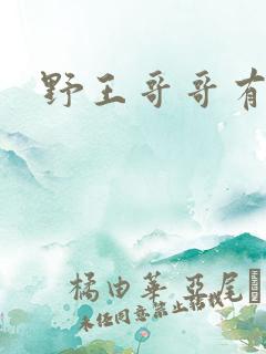 野王哥哥有点甜