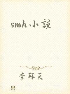 smh小说