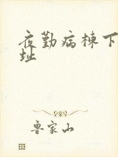 夜勤病栋下载地址