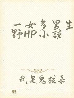 一女多男生活狂野HP小说