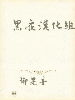 黑夜汉化组
