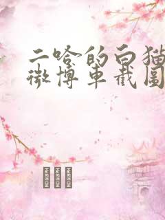 二哈的白猫师尊微博车截图