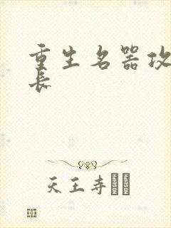 重生名器攻略兄长