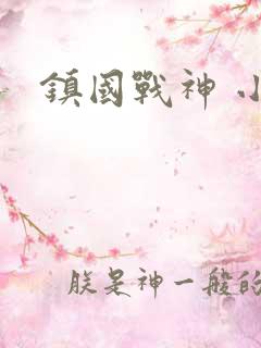 镇国战神 小说