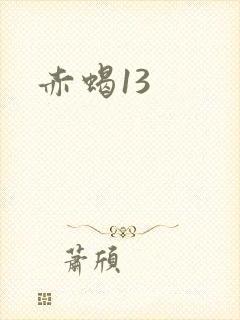 赤蝎13