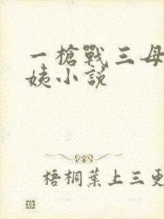 一枪战三母2雪姨小说