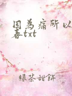 因为痛所以叫青春txt