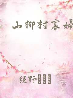 山柳村寡妇情史