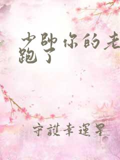 少帅你的老婆又跑了