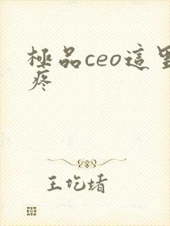 极品ceo这里疼
