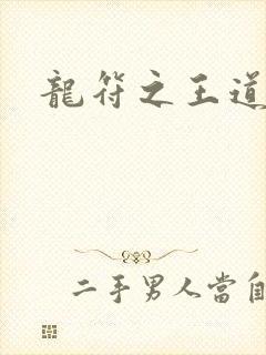 龙符之王道天下