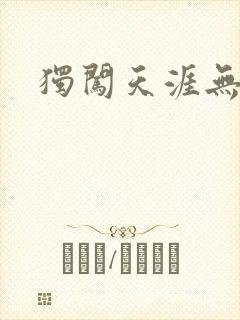 独闯天涯无弹窗