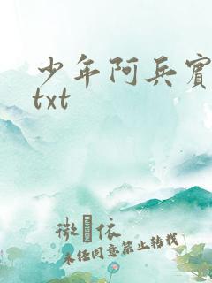 少年阿兵宾小说txt