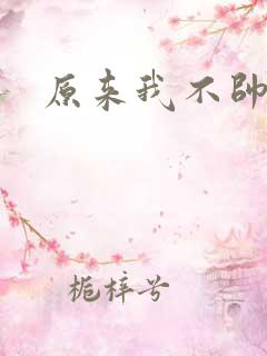 原来我不帅小说