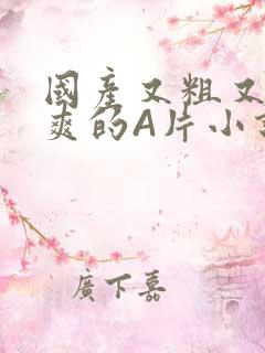 国产又粗又黄又爽的A片小说