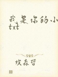 我是你的小小狗txt