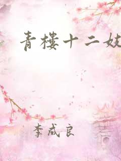 青楼十二妓