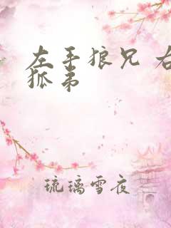 左手狼兄 右手狐弟