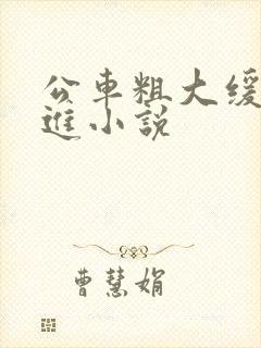 公车粗大缓缓挤进小说