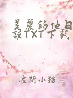 美丽的他日剧小说TXT下载