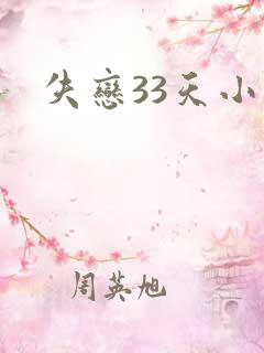 失恋33天小说