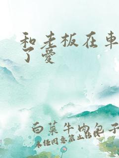 和老板在车里做了爱