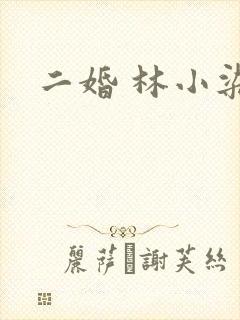 二婚 林小染