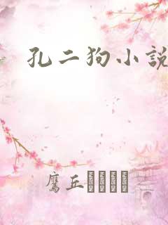 孔二狗小说