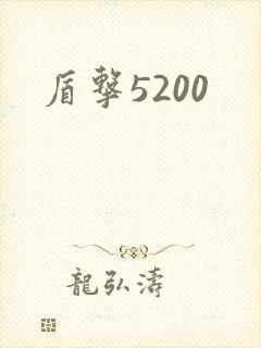 盾击5200