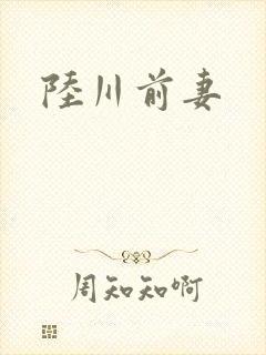 陆川前妻