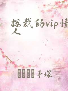 总裁的vip情人