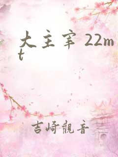 大主宰 22mt
