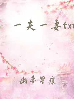 一夫一妻txt