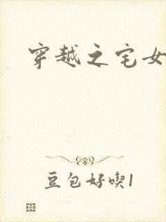 穿越之宅女夫人