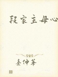 段家主母心太狠