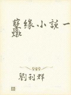 孽缘小说一家乱炖