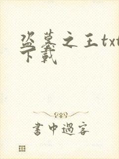 盗墓之王txt下载