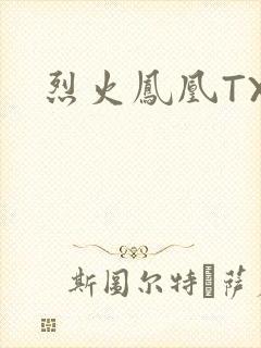 烈火凤凰TXT