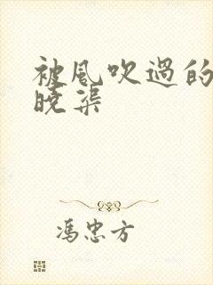 被风吹过的夏天晓渠