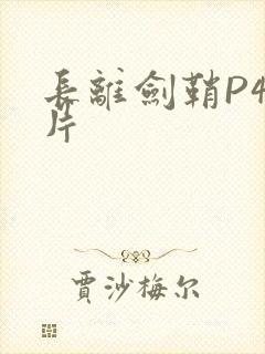 长离剑鞘P4图片