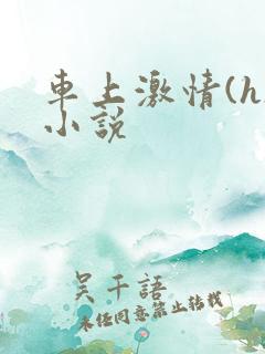 车上激情(h)小说