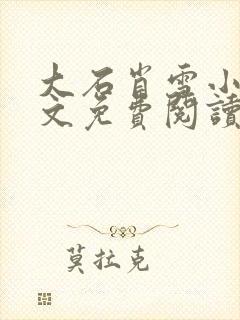 大石肖雪小说全文免费阅读