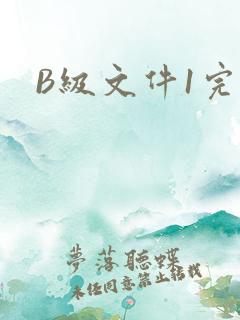 B级文件1完整