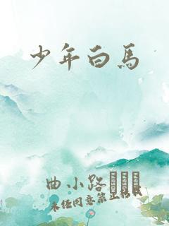 少年白马