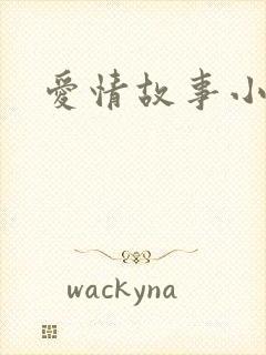 爱情故事小说