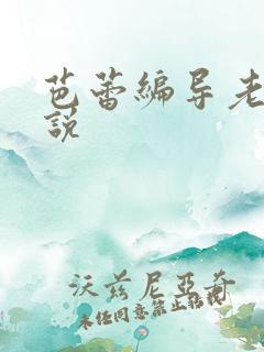 芭蕾编导老师小说