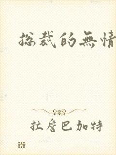 总裁的无情游戏