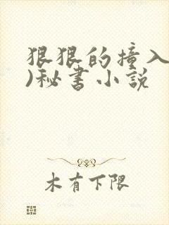 狠狠的撞入(h)秘书小说